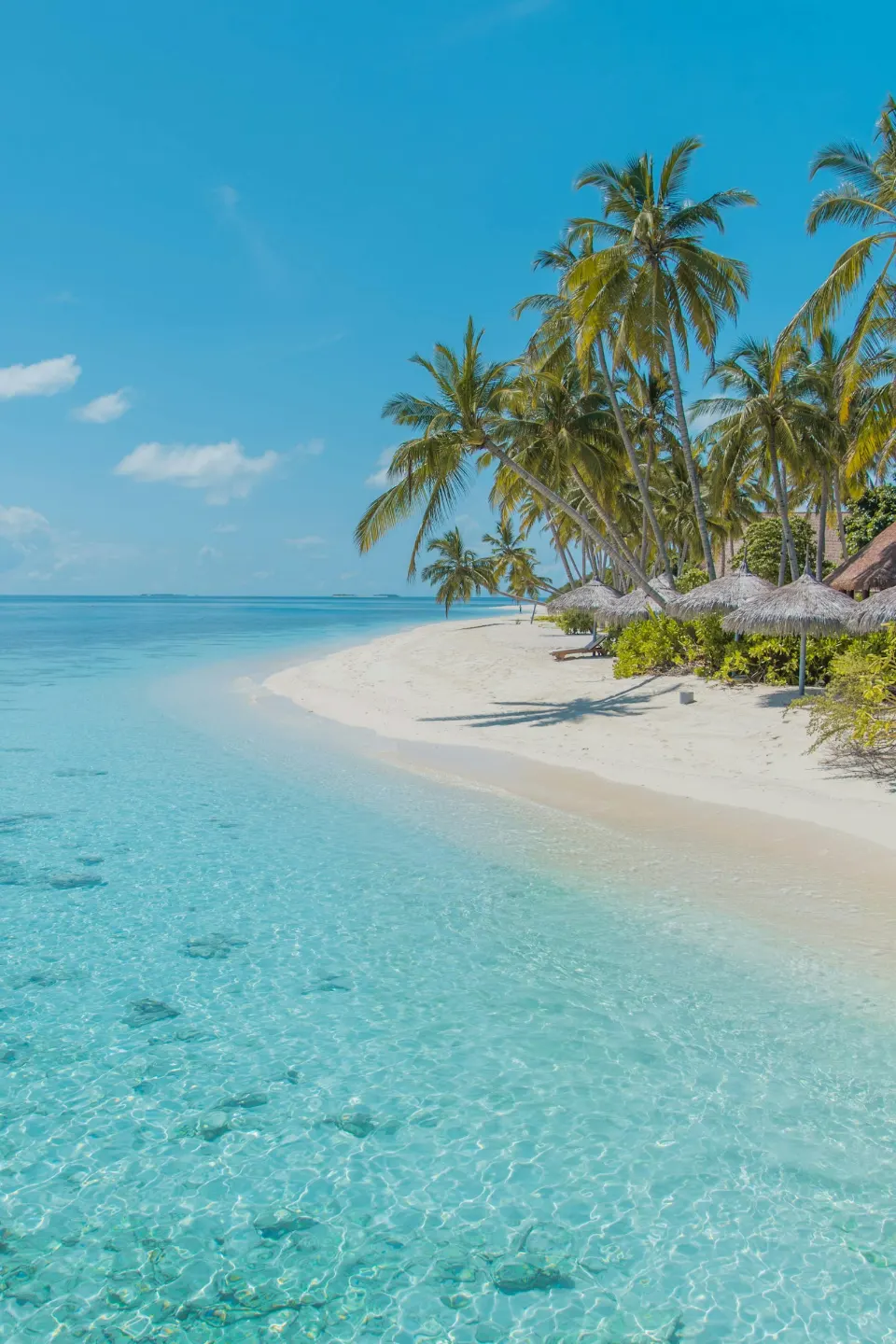 Andaman Family Escape