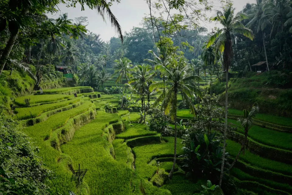Bali Family Holiday