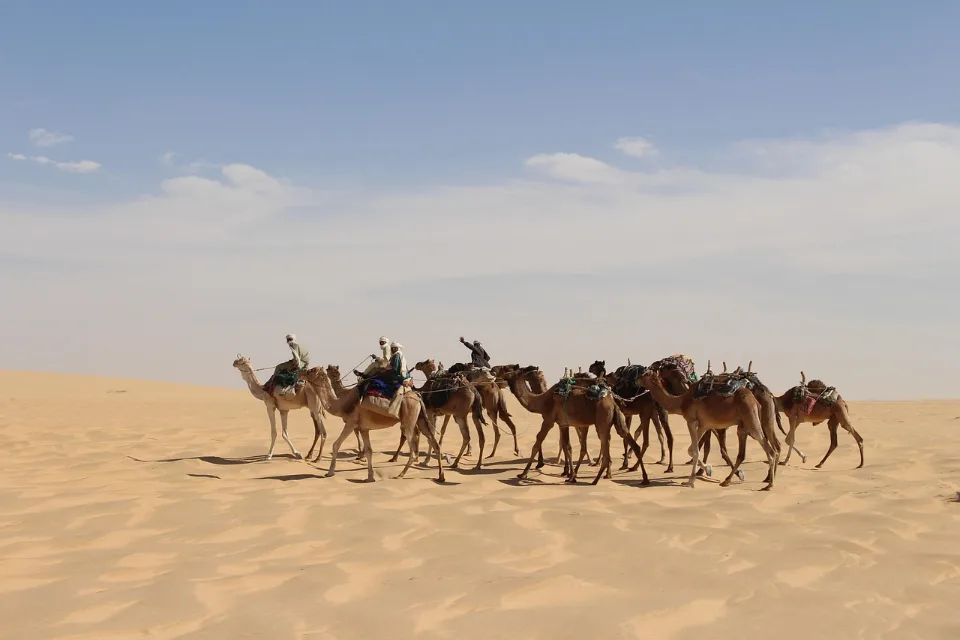 NDjamena Short Break