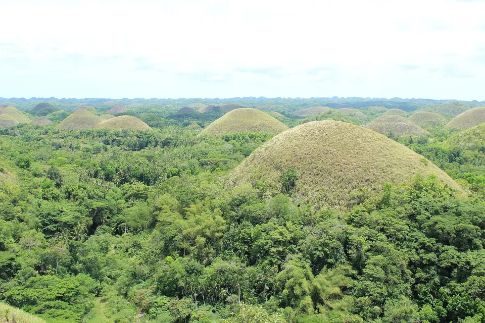 Cebu & Bohol