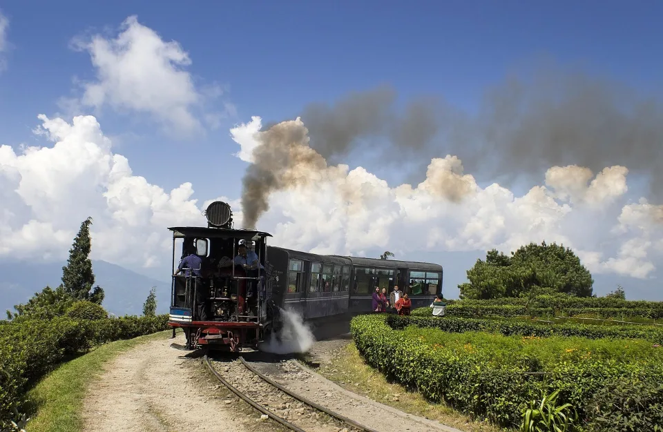 Darjeeling & Gangtok