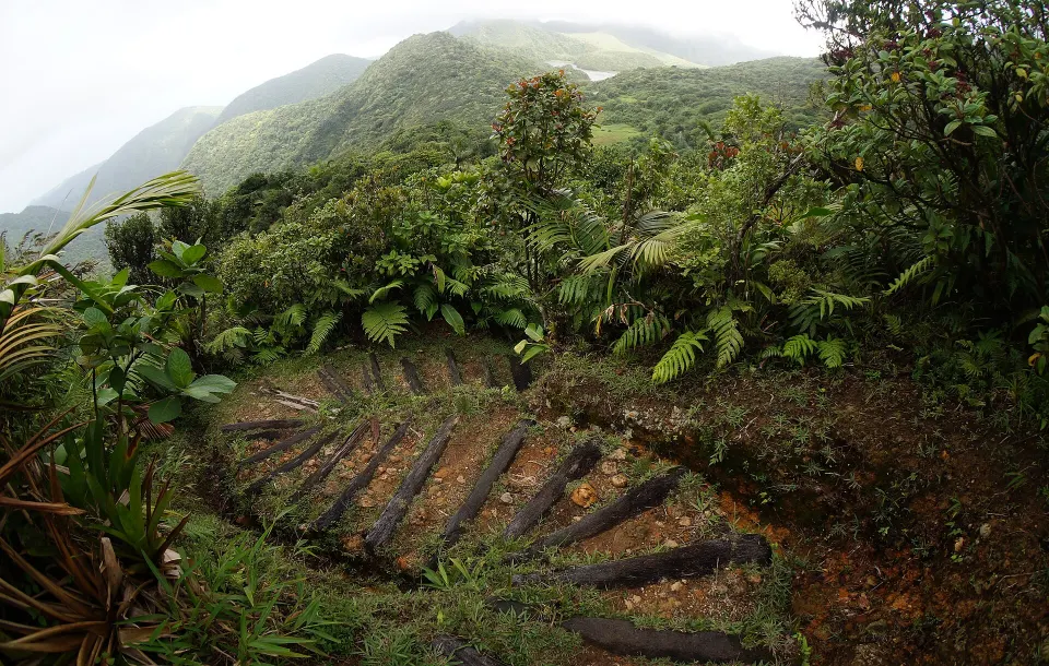 Roseau & Morne Trois Pitons