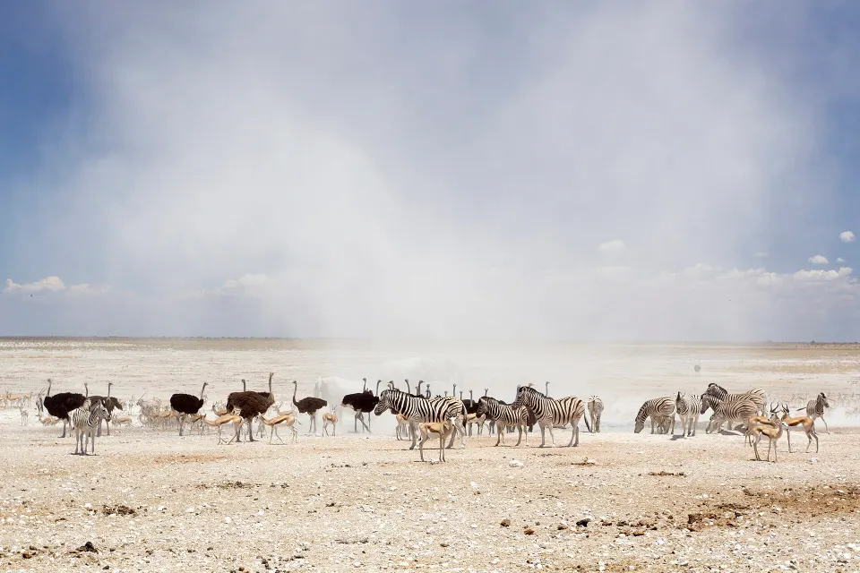Namibia Classic