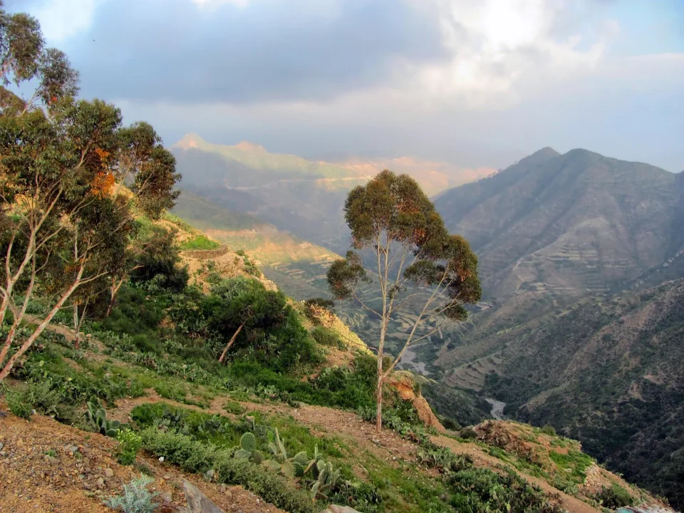 Asmara & Massawa