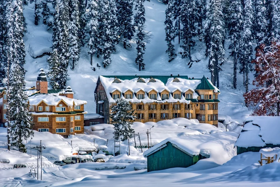 Kashmir Honeymoon