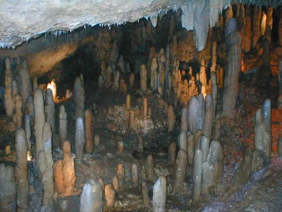 Bridgetown & Harrisons Cave
