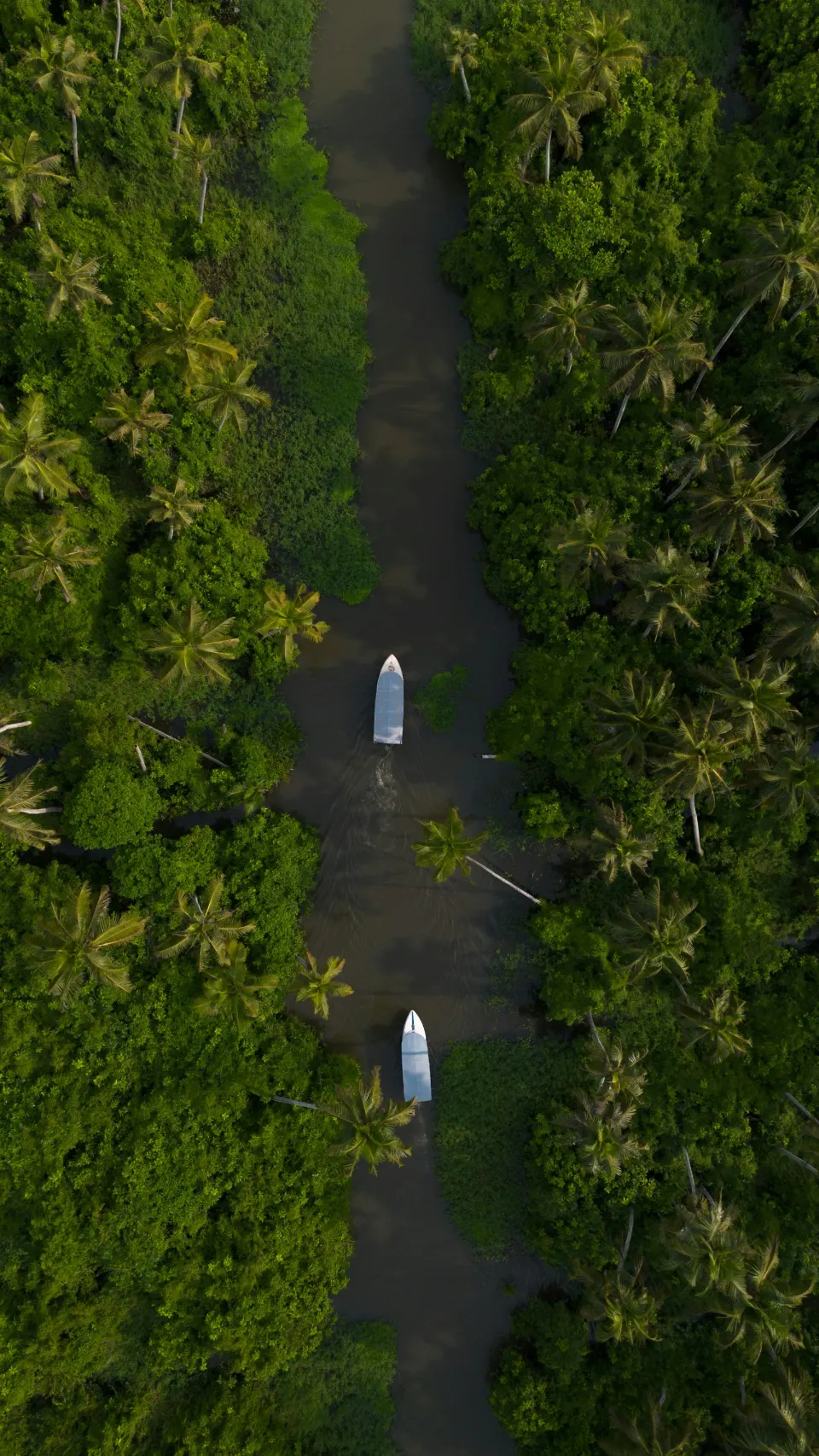 Varkala & Kovalam Beaches