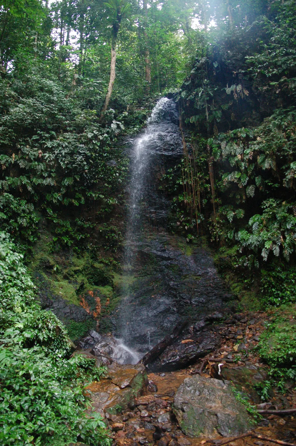 Paramaribo & Commewijne