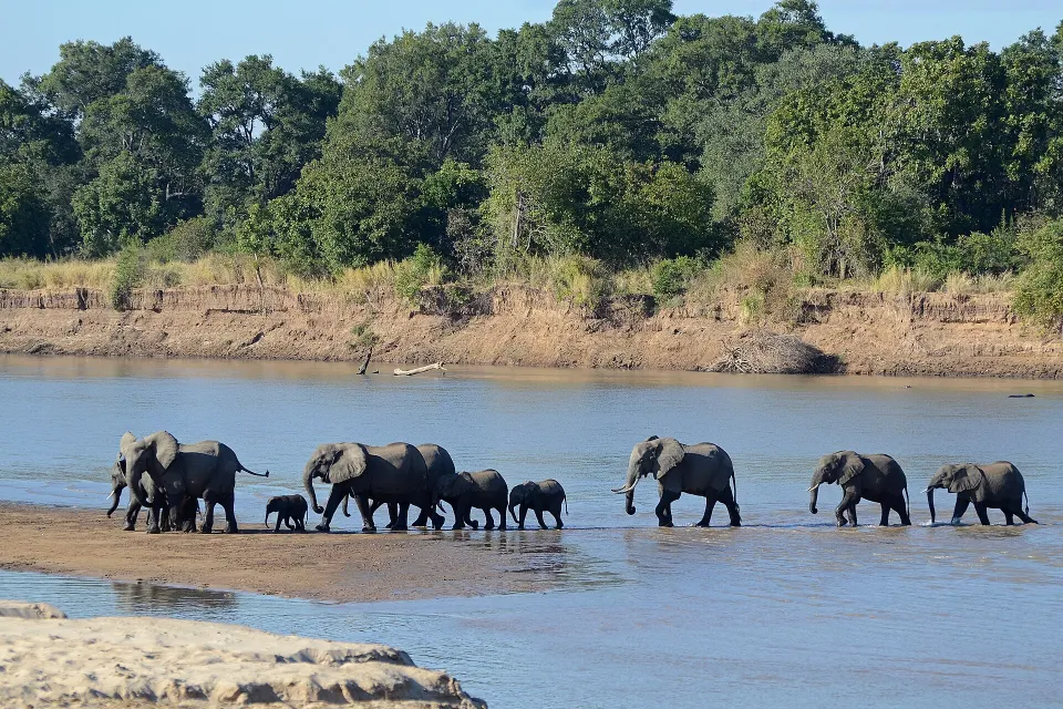 Livingstone & South Luangwa