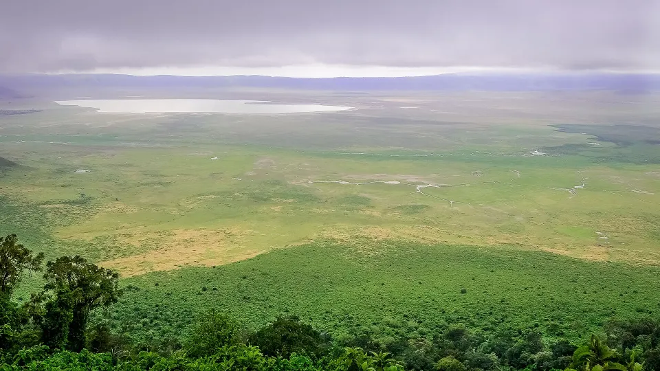 Arusha & Serengeti