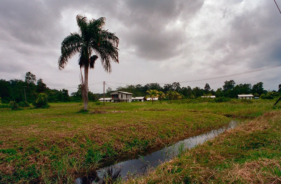 Paramaribo Short Break