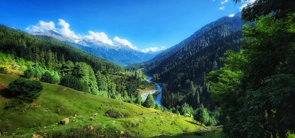 Nainital & Mukteshwar Getaway