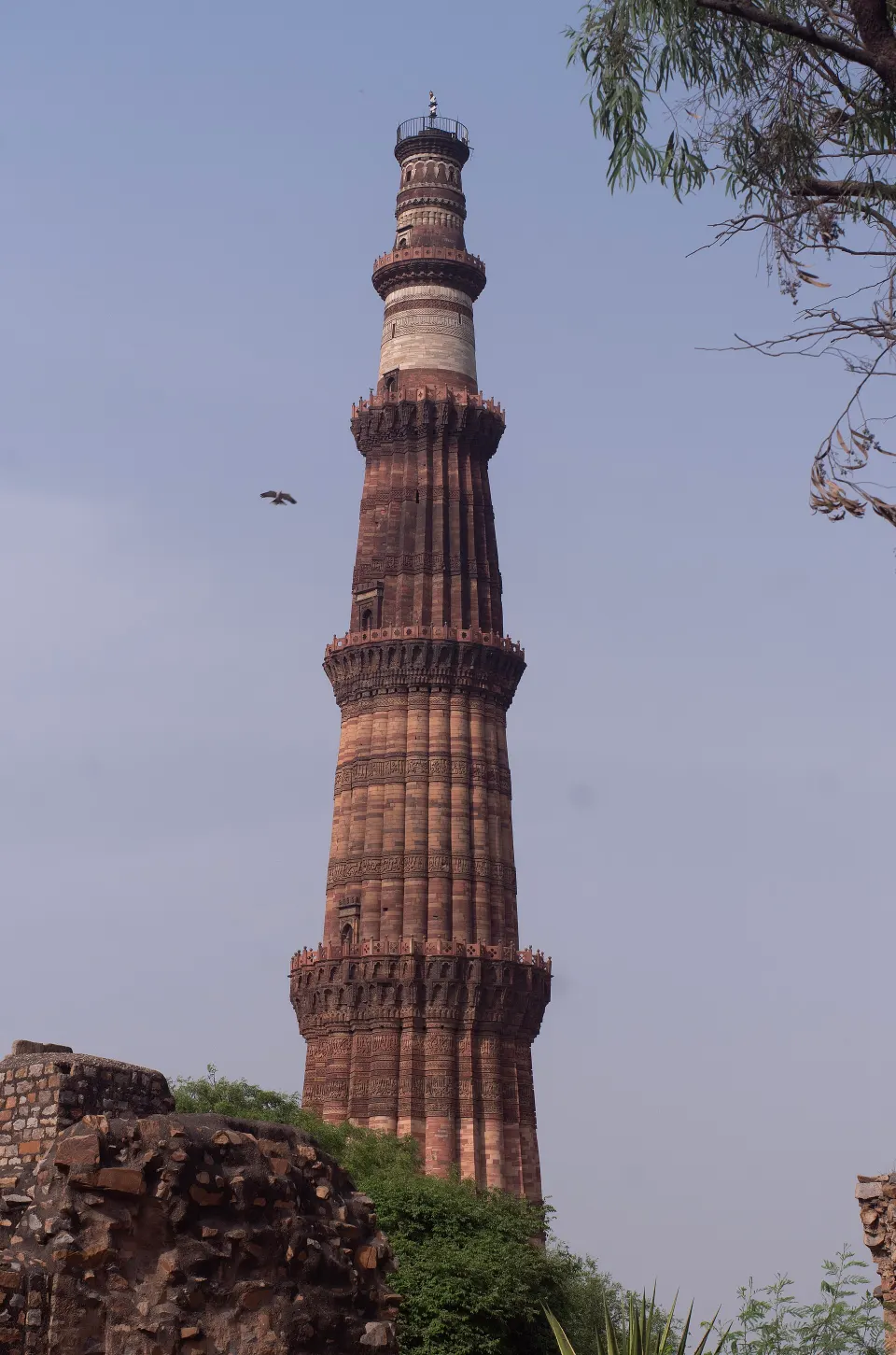 Old and New Delhi Full Day Tour, Delhi