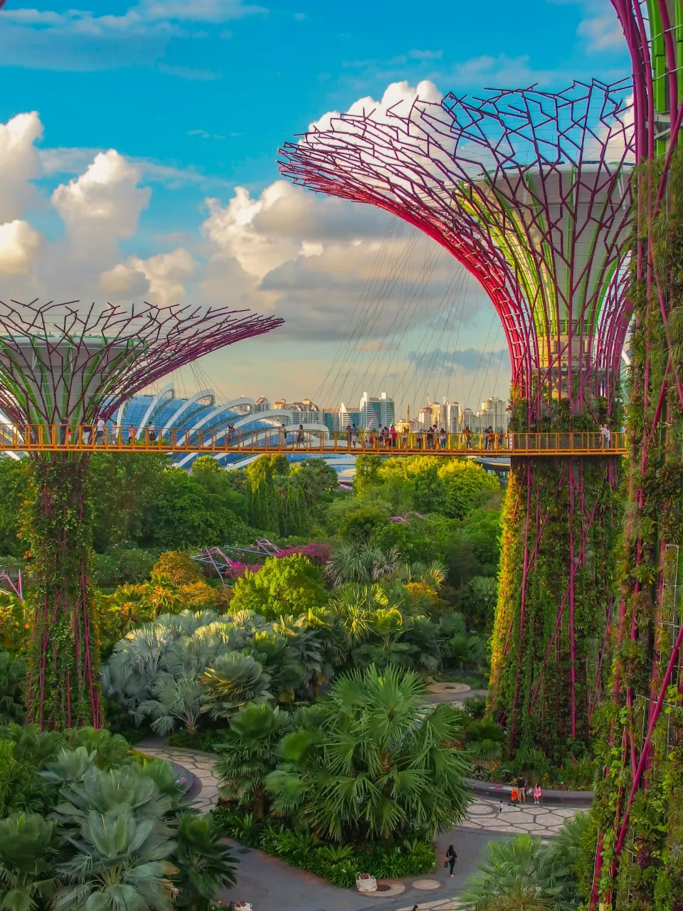 Singapore & Malaysia