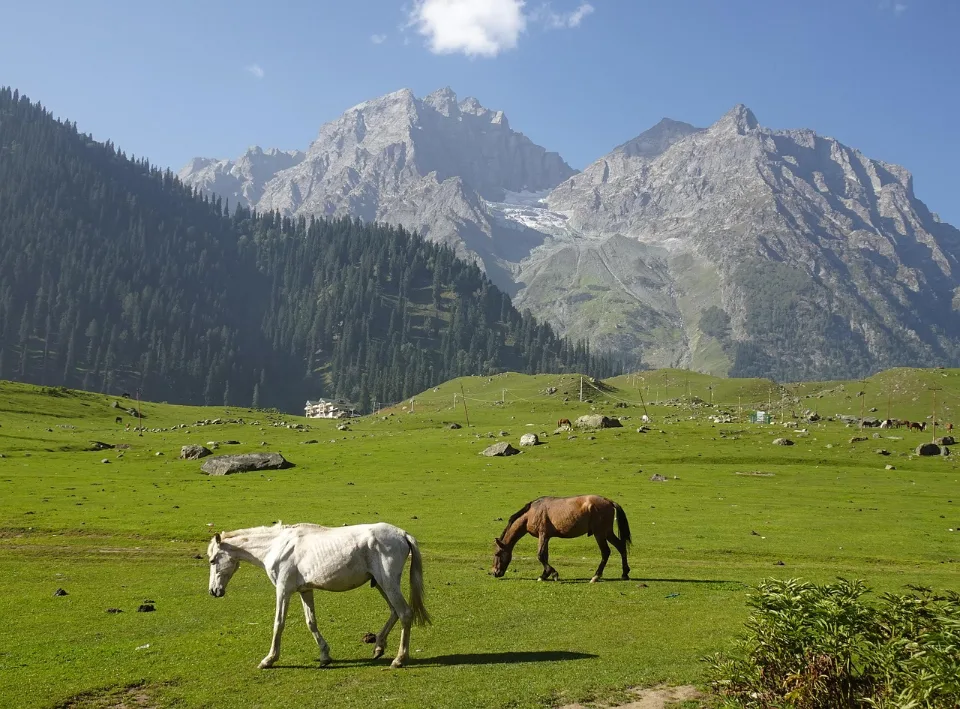 Winter snow: Gulmarg, Spiti, Pangong