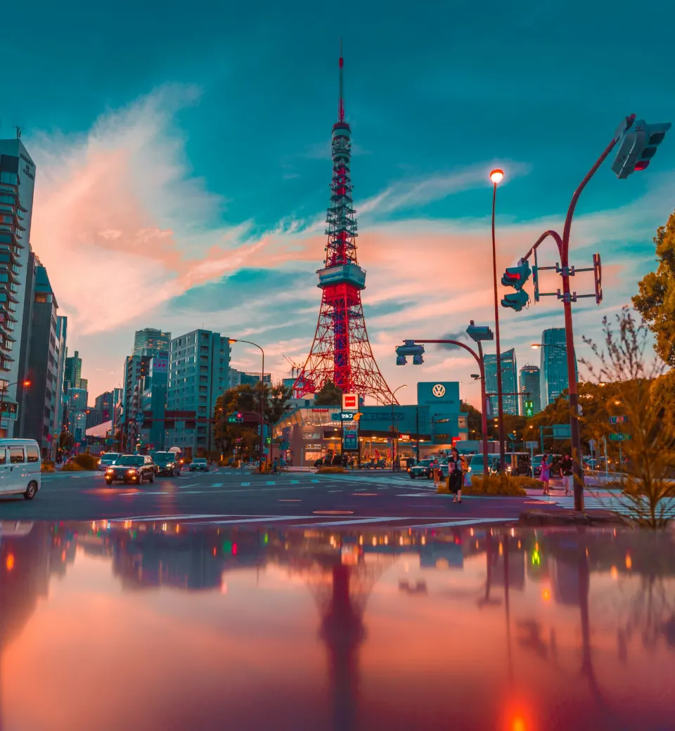 Japan Cherry Blossom